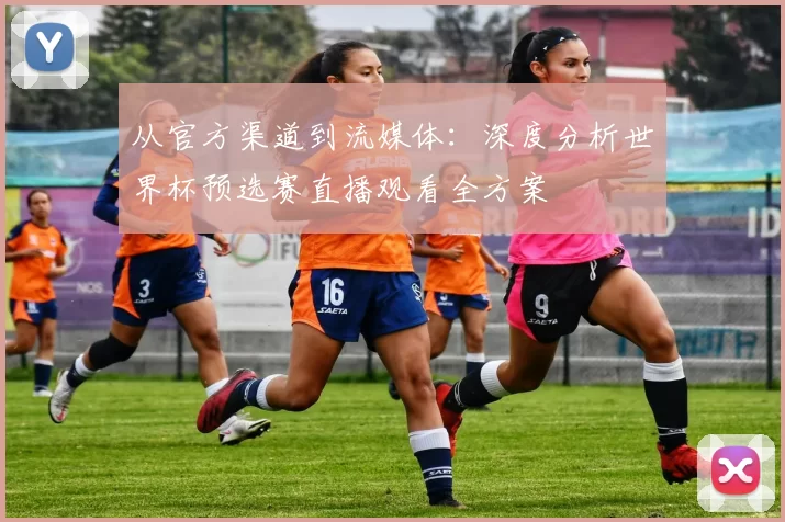 从官方渠道到流媒体:深度分析世界杯预选赛直播观看全方案