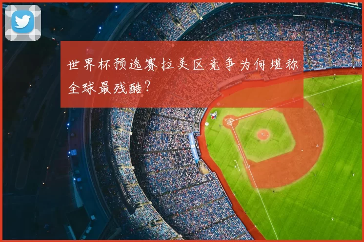 世界杯预选赛拉美区竞争为何堪称全球最残酷?