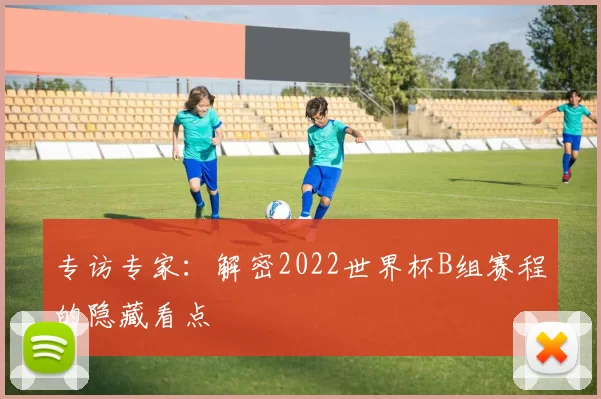 专访专家：解密2022世界杯B组赛程的隐藏看点