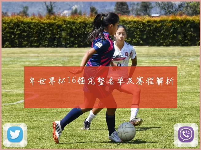 年世界杯16强完整名单及赛程解析