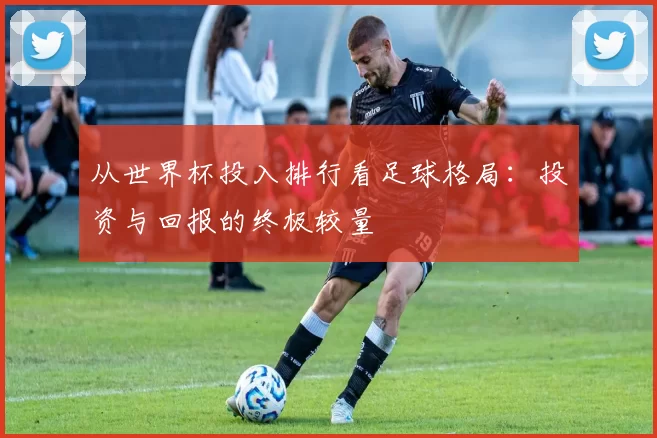 从世界杯投入排行看足球格局：投资与回报的终极较量