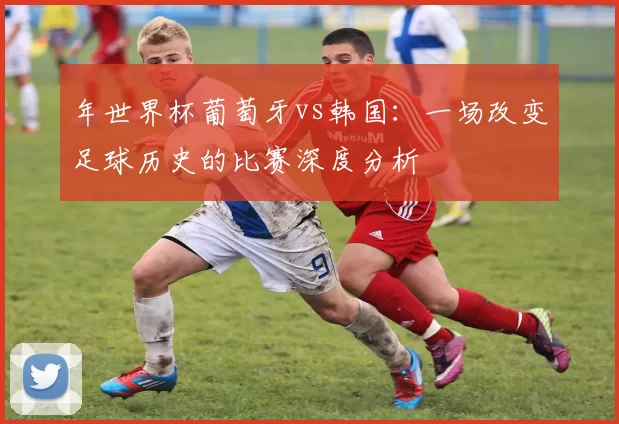 年世界杯葡萄牙vs韩国:一场改变足球历史的比赛深度分析