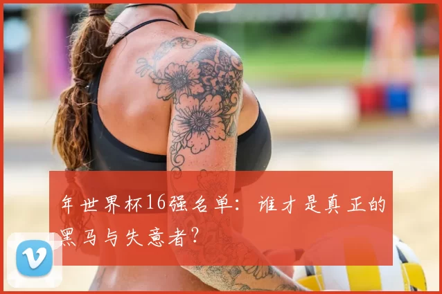 年世界杯16强名单：谁才是真正的黑马与失意者？