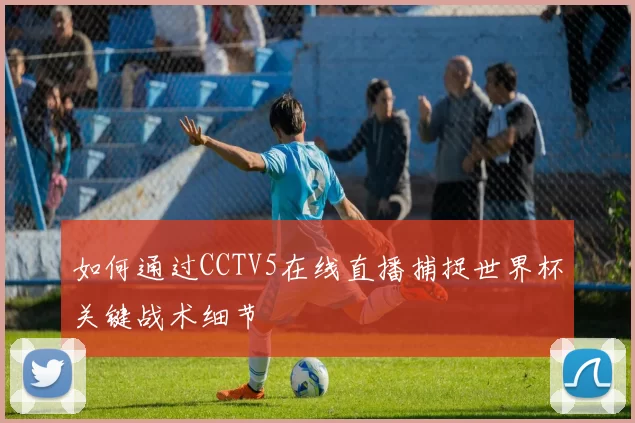 如何通过CCTV5在线直播捕捉世界杯关键战术细节