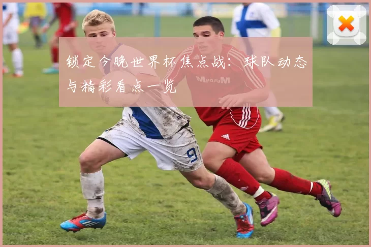 锁定今晚世界杯焦点战：球队动态与精彩看点一览