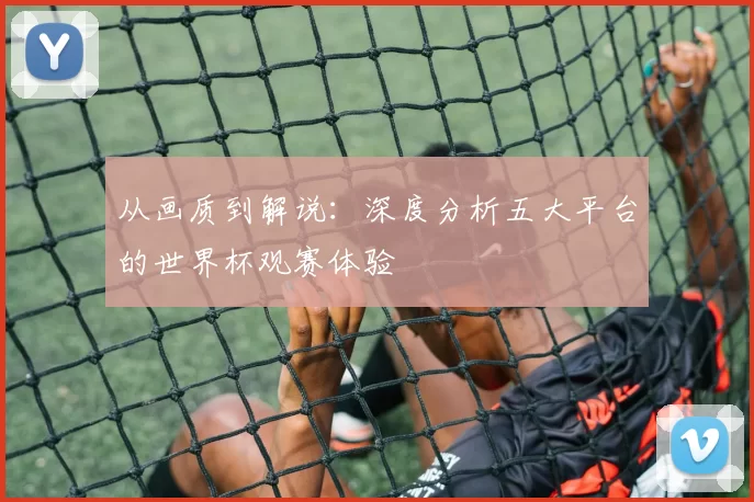 从画质到解说：深度分析五大平台的世界杯观赛体验
