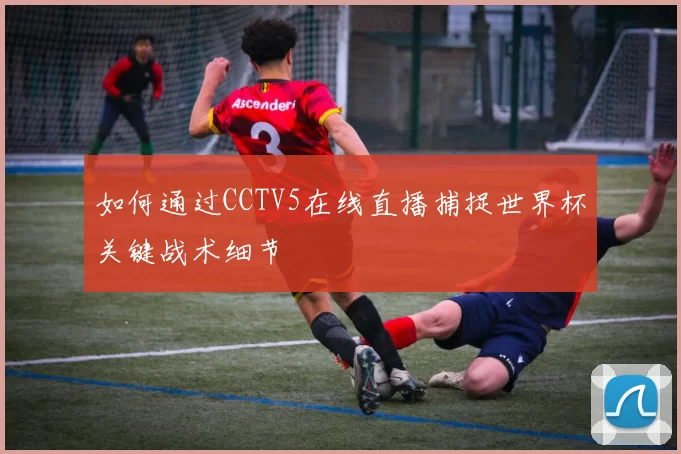 如何通过CCTV5在线直播捕捉世界杯关键战术细节